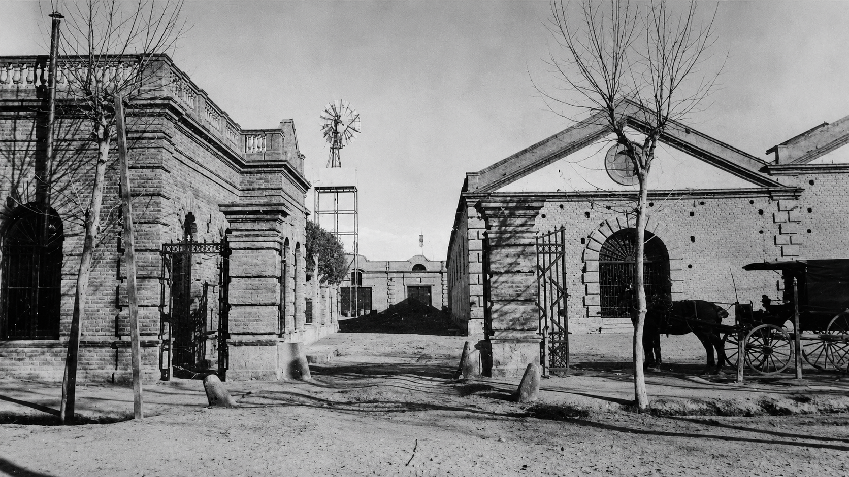 Bodega Giol
