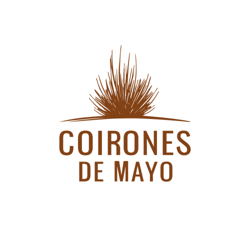 CM-LOGO_Mesa de trabajo 1